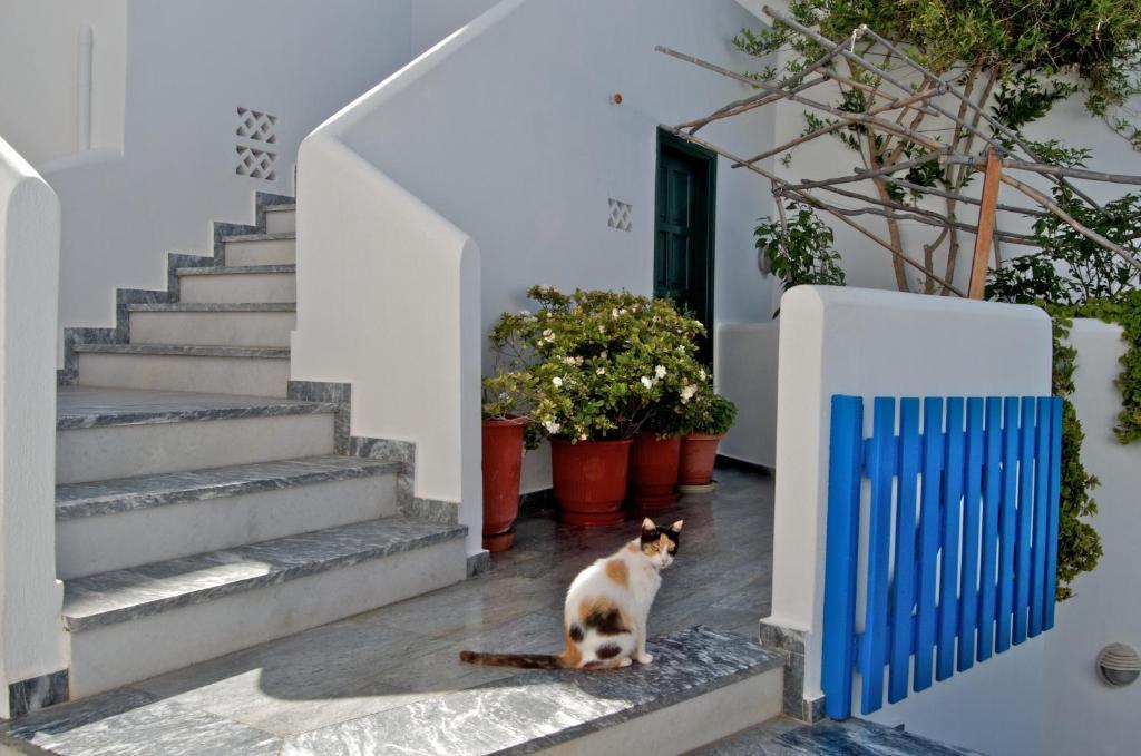 Alex Hotel Tourlos Exterior photo